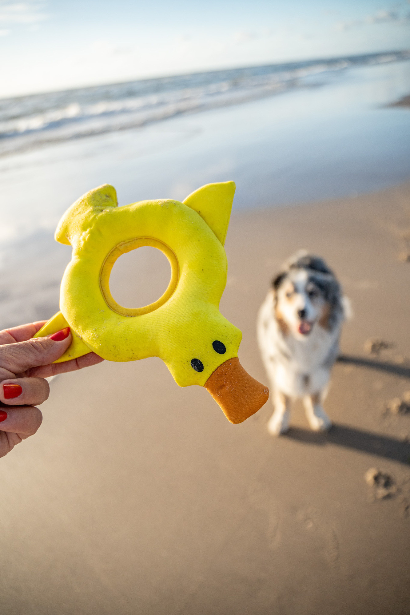 RUKKA Pets swimming toy