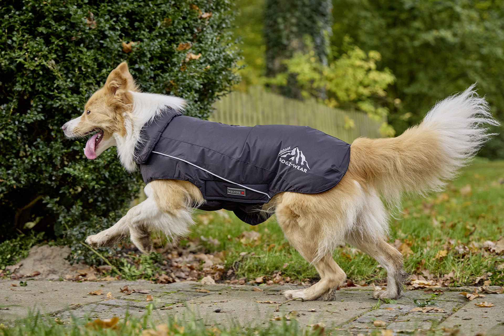 Dogz-Wear Ski Jacket