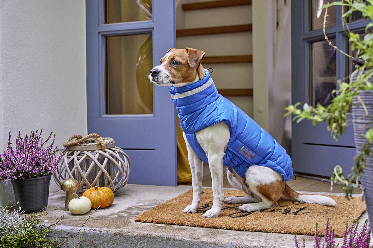 Steppjacke Cosy