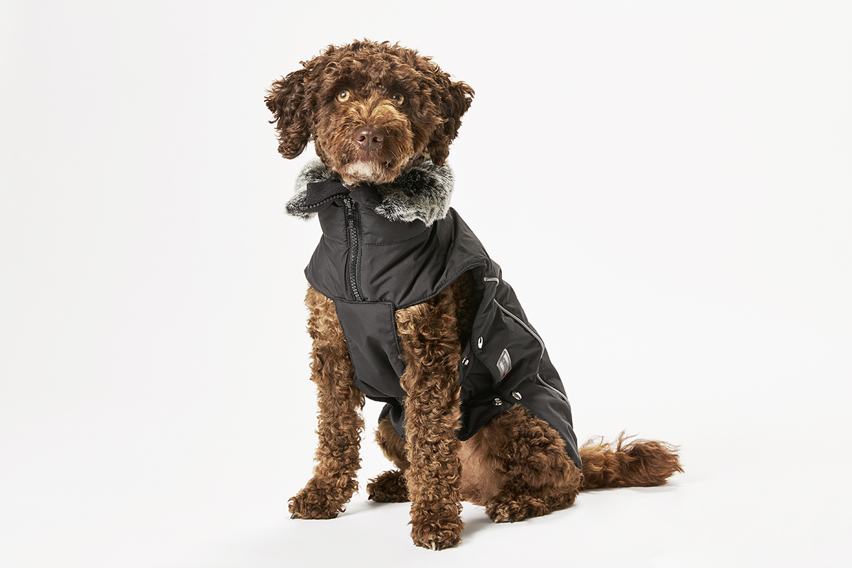 Amundsen Winter Jacket