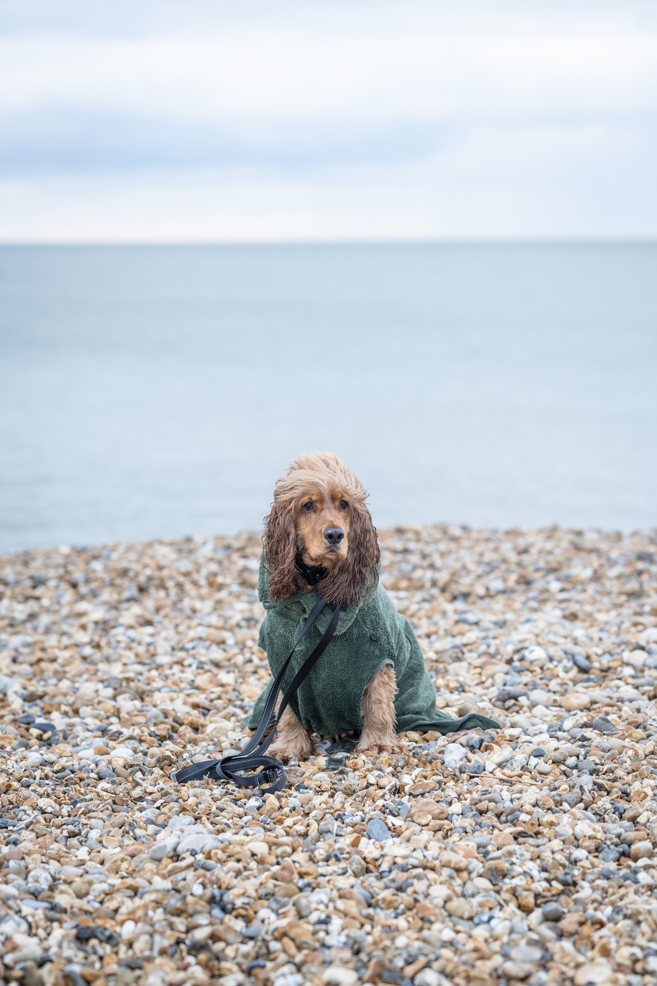 RUKKA Pets Drying Coat Medea X