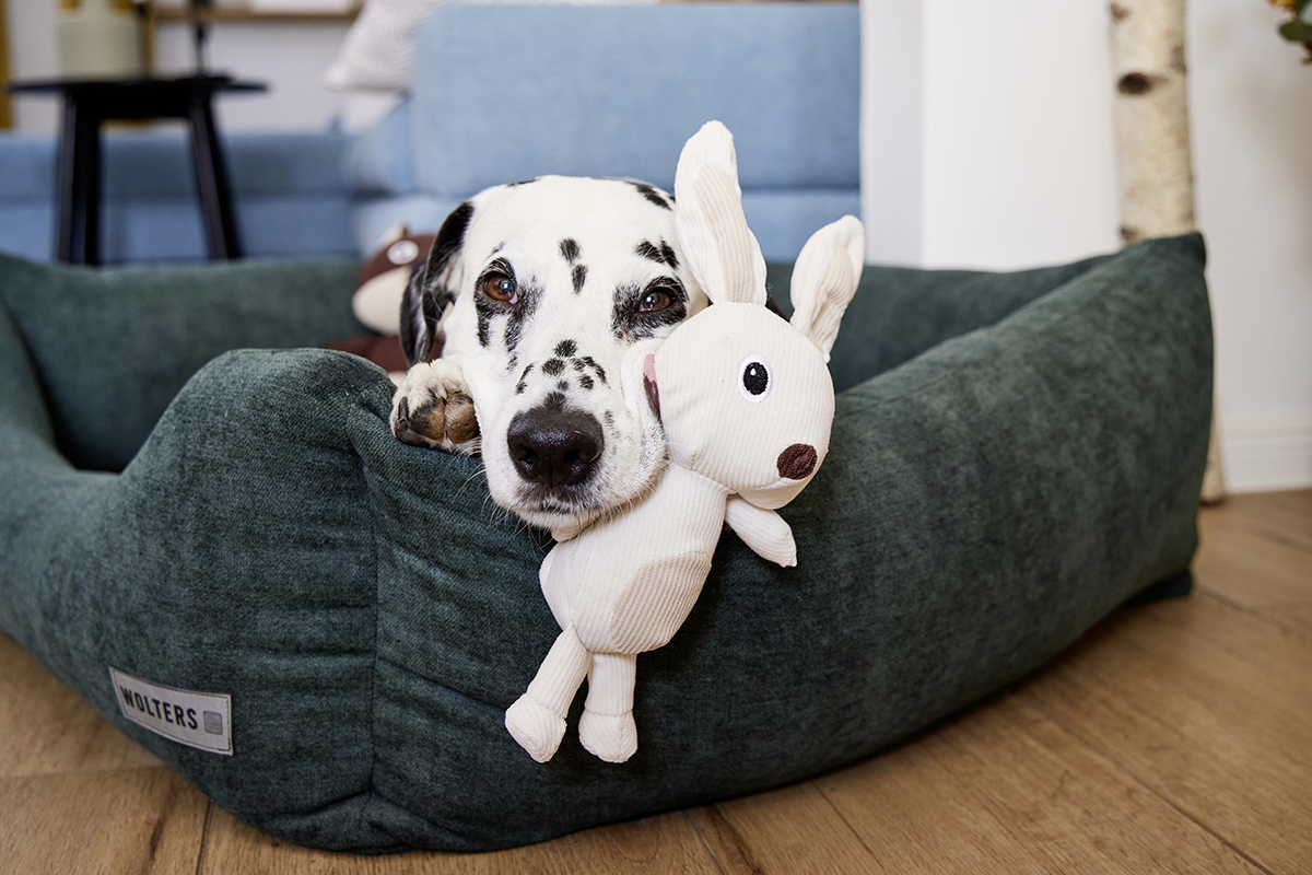  WOLTERS cat & dog GmbH
