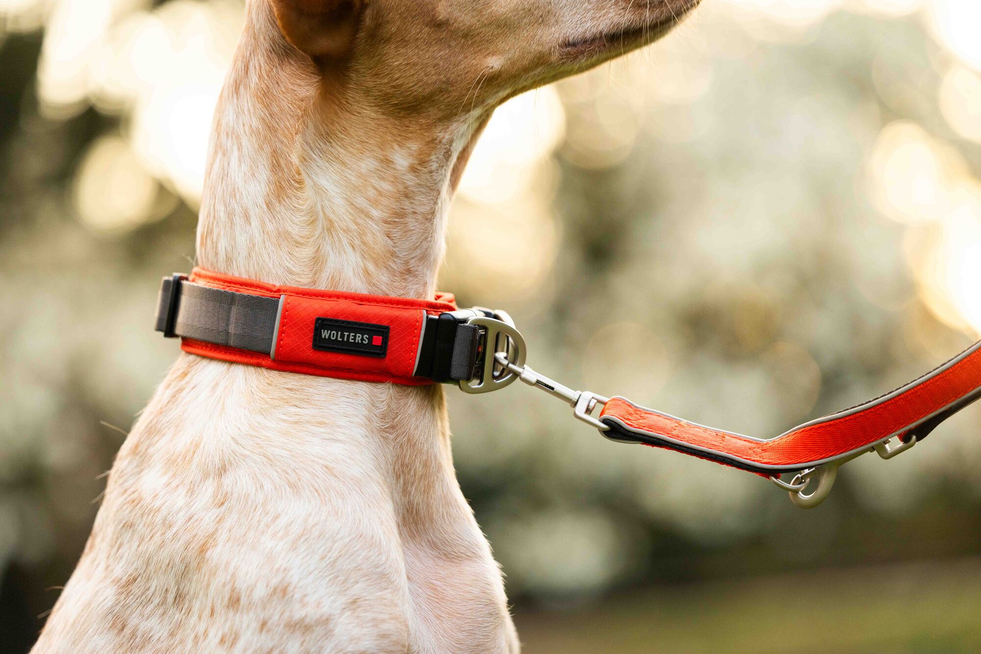 Active Pro Comfort Halsband WOLTERS cat & dog GmbH