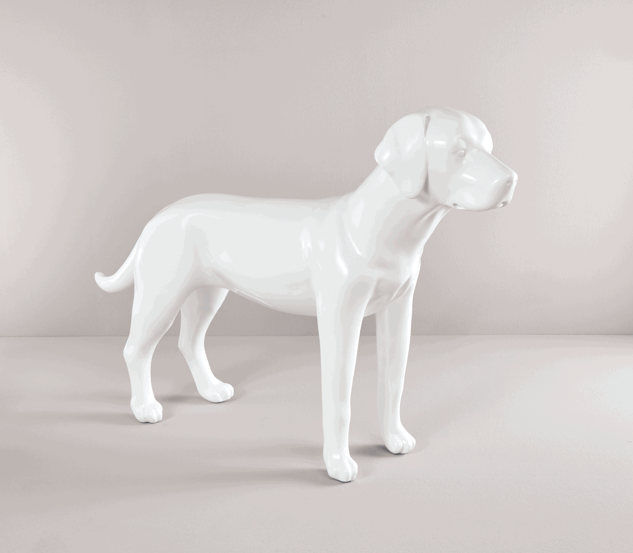 Skijacke Dogz-Wear
