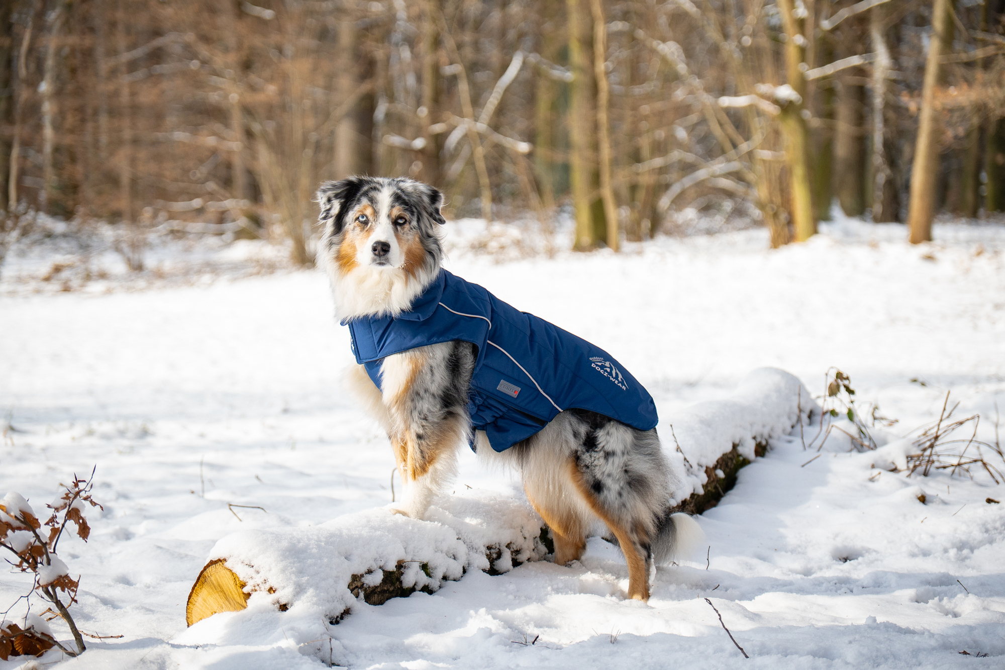  WOLTERS cat & dog GmbH