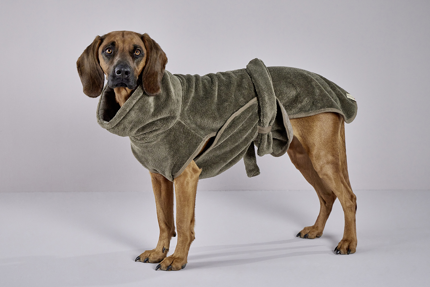 Easy Clean dog drying coat