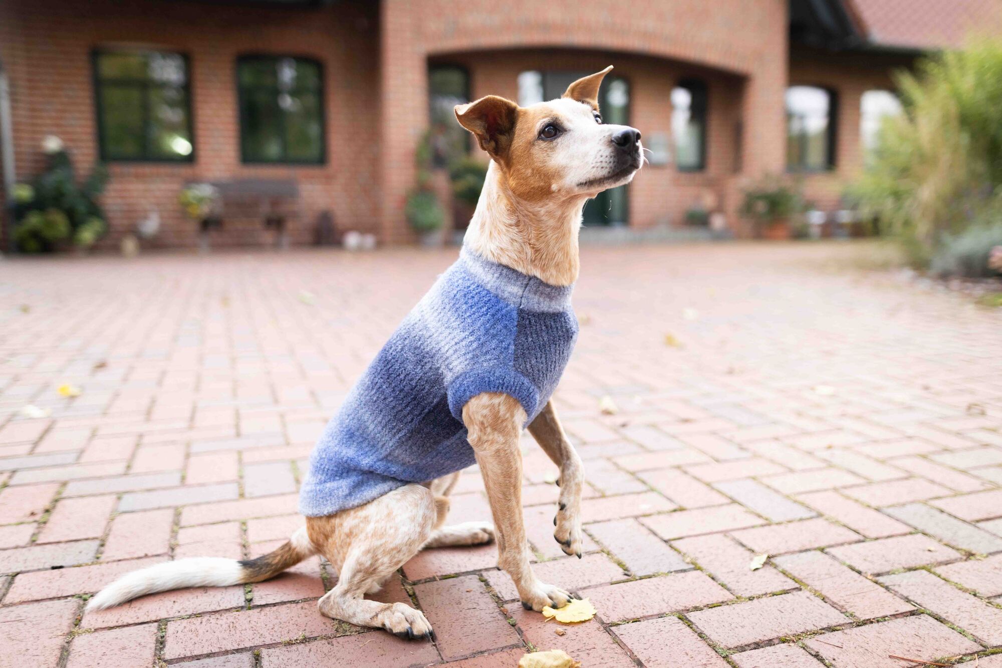 Knitted Jumper Sky