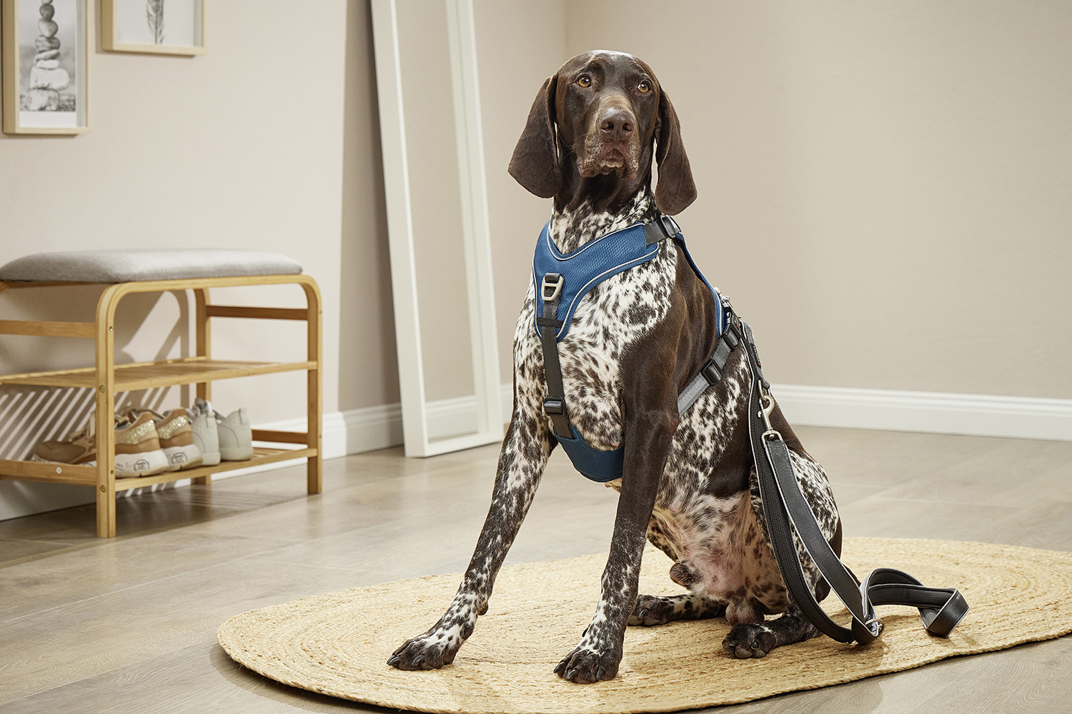 Active Pro Comfort Harness
