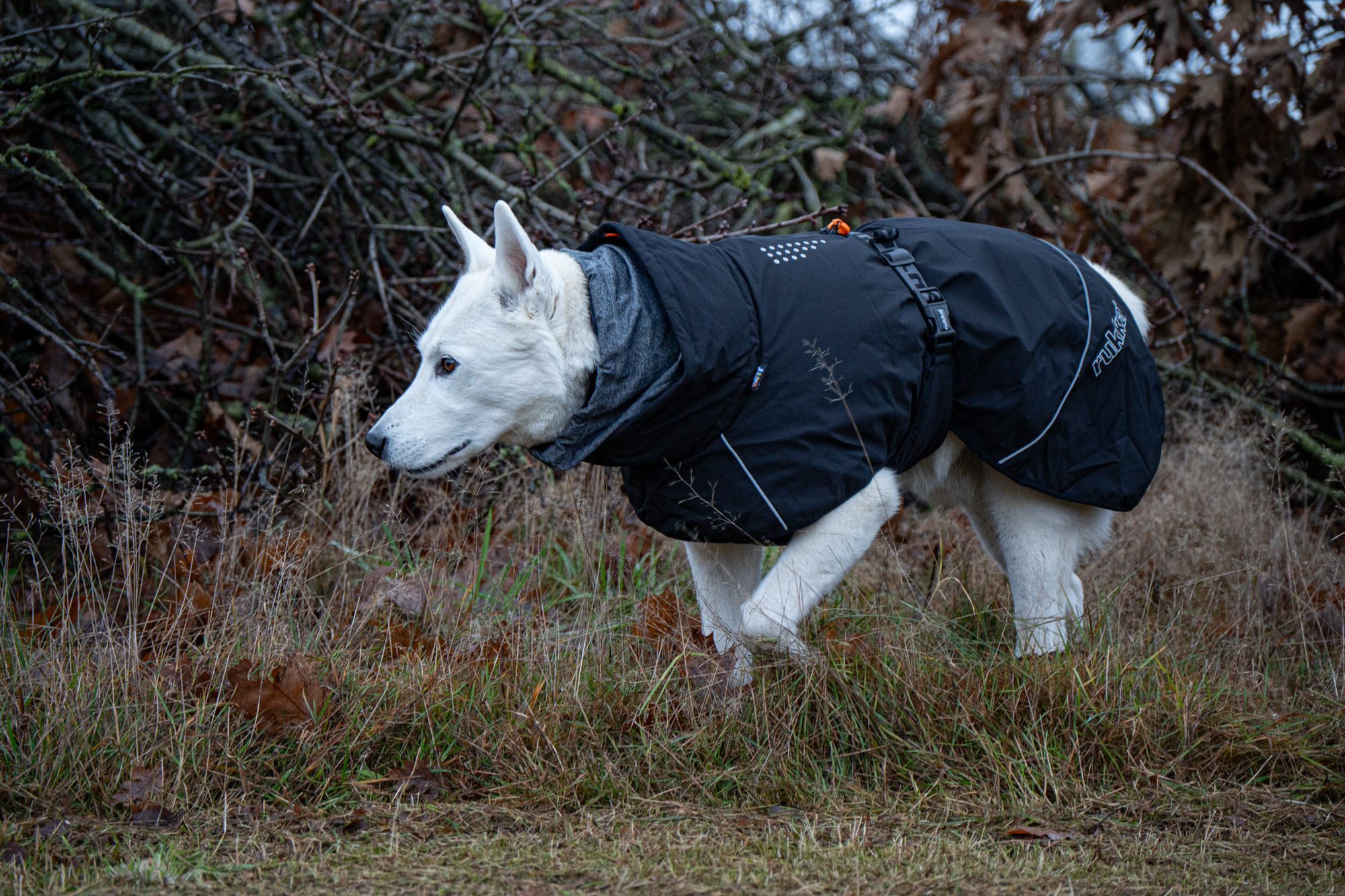 Rukka Pets Winter Jacket Warmup 2.0