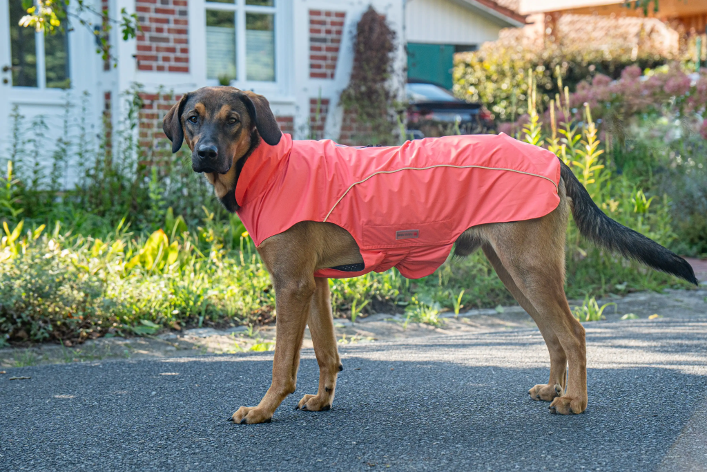 WOLTERS Fleecejacke Dogz-Wear Gre 40 Cm Olive Meliert - Wetterfeste  Hundejacke