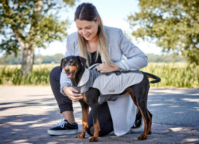 Wolters Regenjacke Für Hunde Größe 60cm - Braun/Orange Wasserdicht