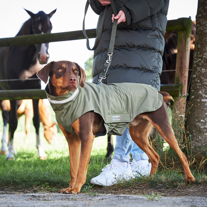Milk & Pepper Hundebekleidung - Hundemäntel & Hundejacken Kaufen